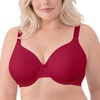Underwire - Holly Berries